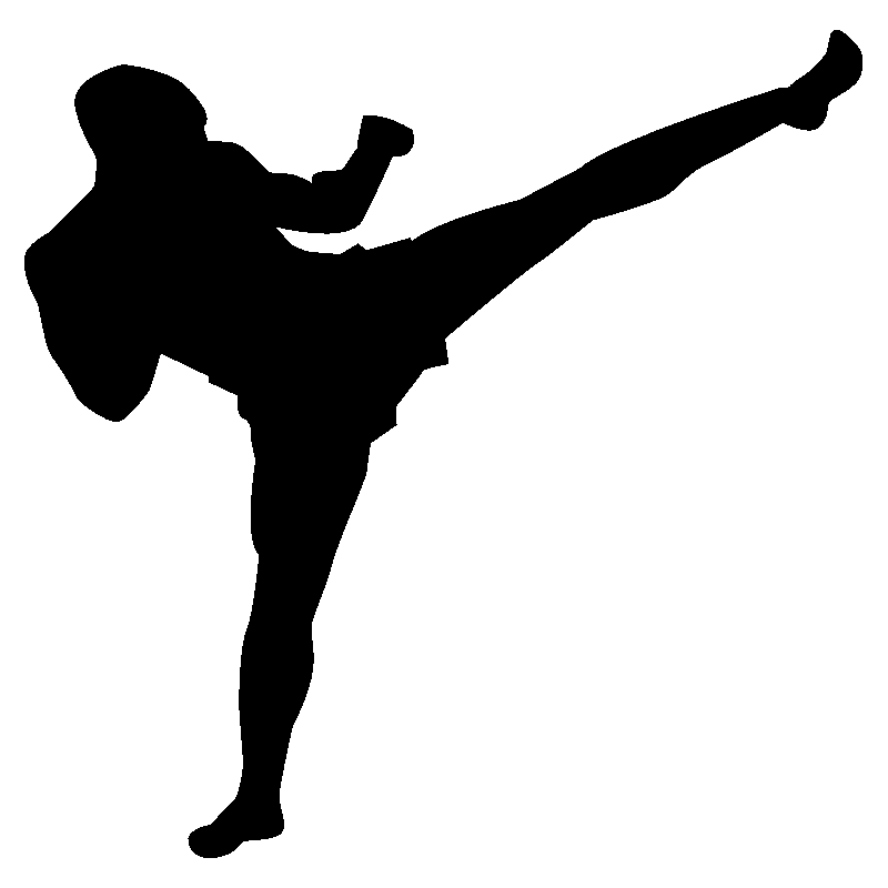 karate 1