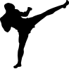 karate 1