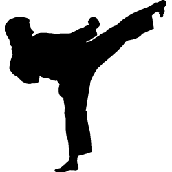 karate 2