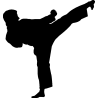 karate 2
