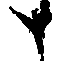 karate 3