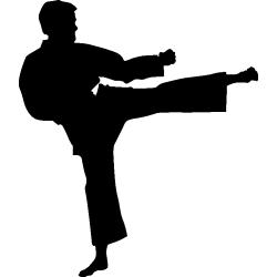 karate 4