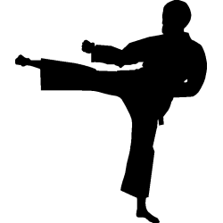 karate 5