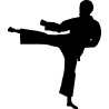 karate 5