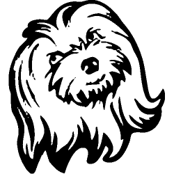 chien 5598