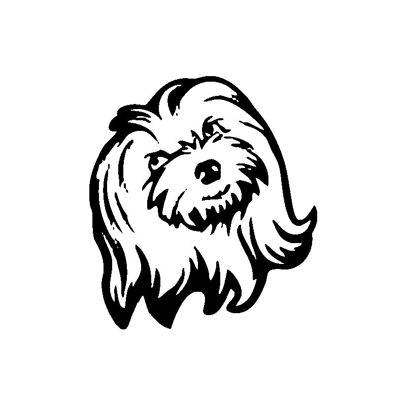 chien 5598