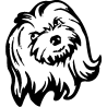 chien 5598