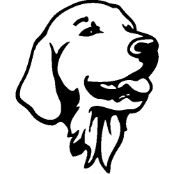 5620
