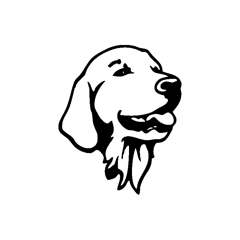 5620
