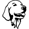 5620