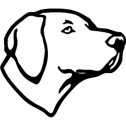 5650
