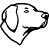 5650