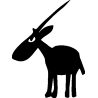 Rhinocéros