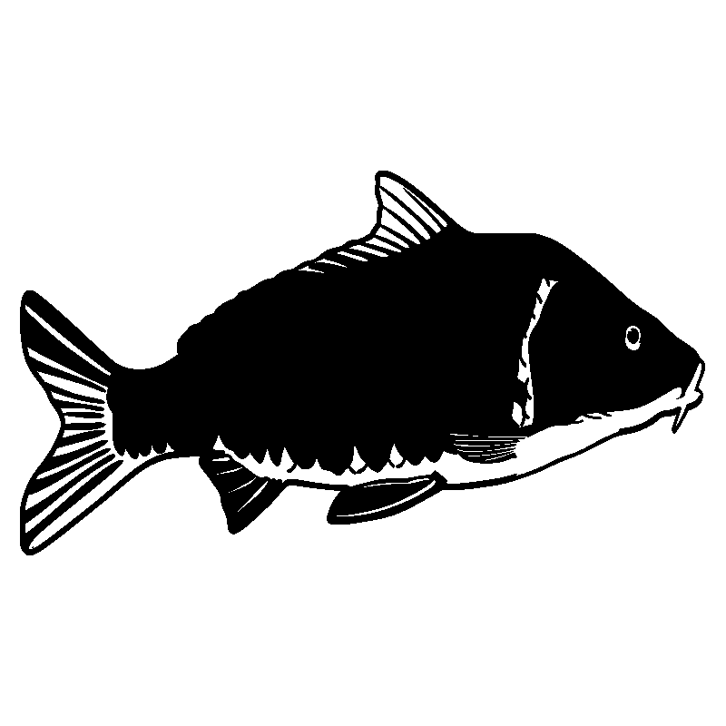 poisson 4