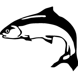 poisson 5