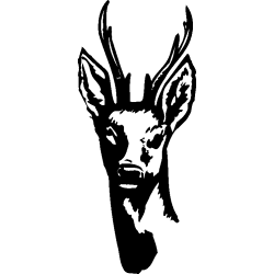 chevreuil
