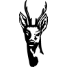 chevreuil