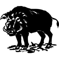 sanglier
