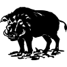 sanglier