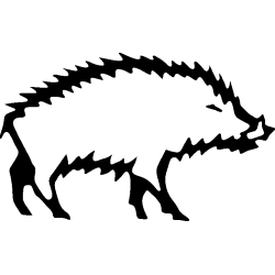 sanglier
