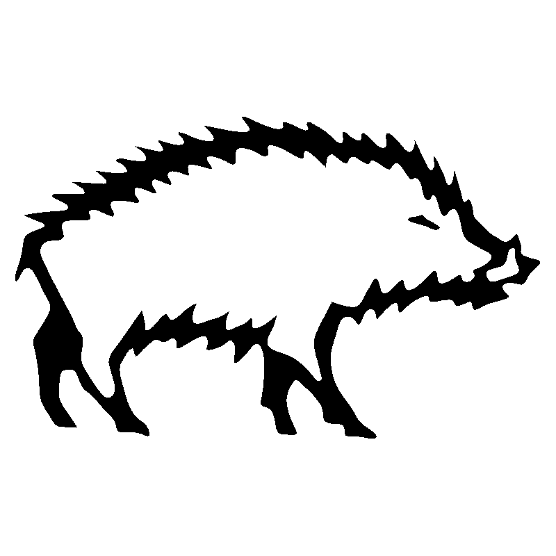 sanglier