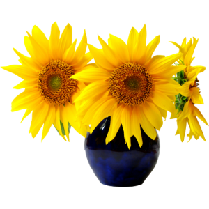 Vase tournesol