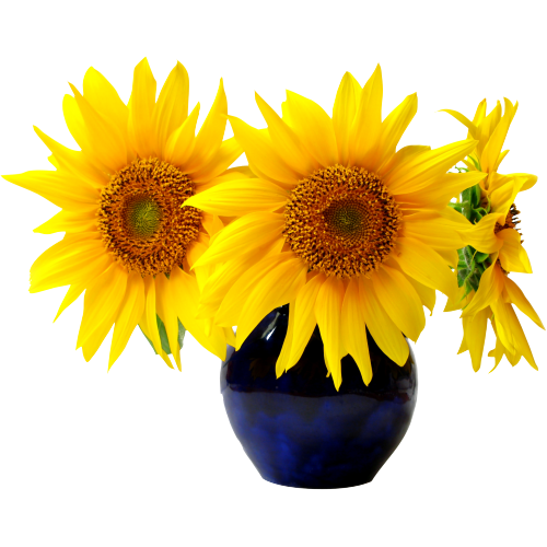 Vase tournesol