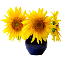 Vase tournesol