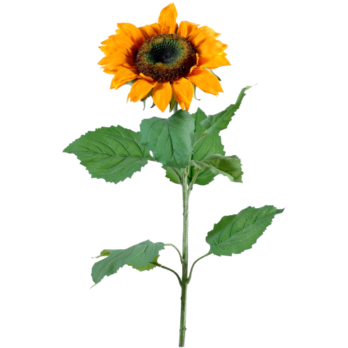 Vase tournesol