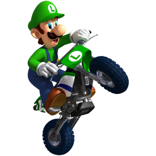 Luigi moto cross