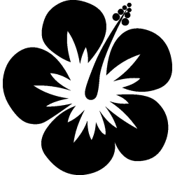 hibiscus 4