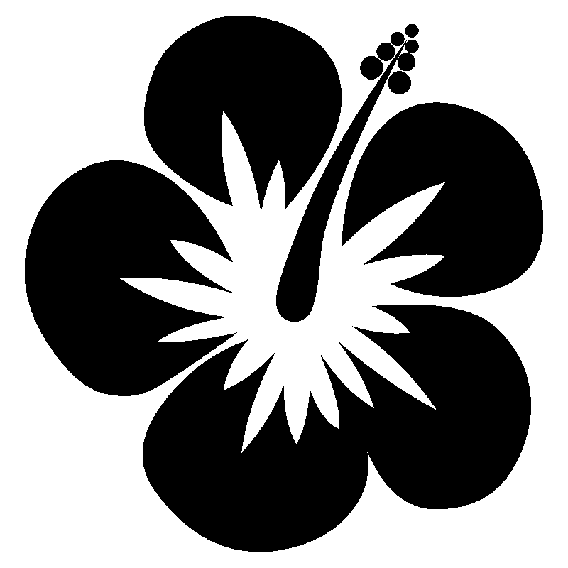 hibiscus 4