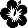 hibiscus 4