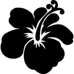 hibiscus 5