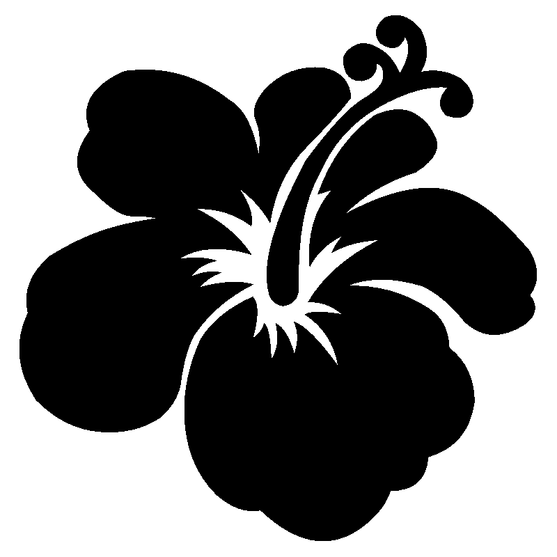 hibiscus 5