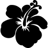 hibiscus 5
