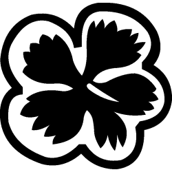 hibiscus 6