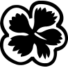 hibiscus 6