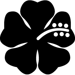 hibiscus 7