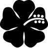 hibiscus 7