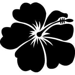 hibiscus 9
