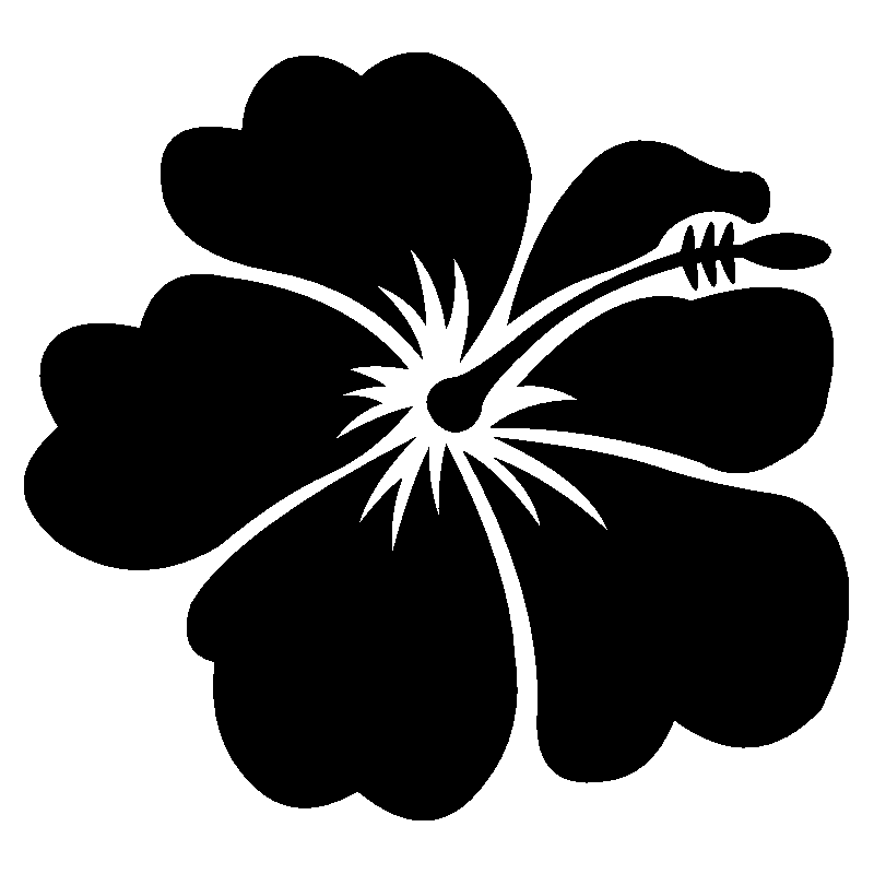 hibiscus 9
