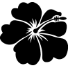 hibiscus 9