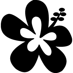 hibiscus 10