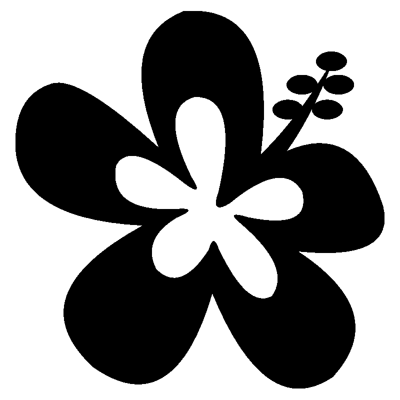 hibiscus 10