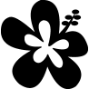 hibiscus 10