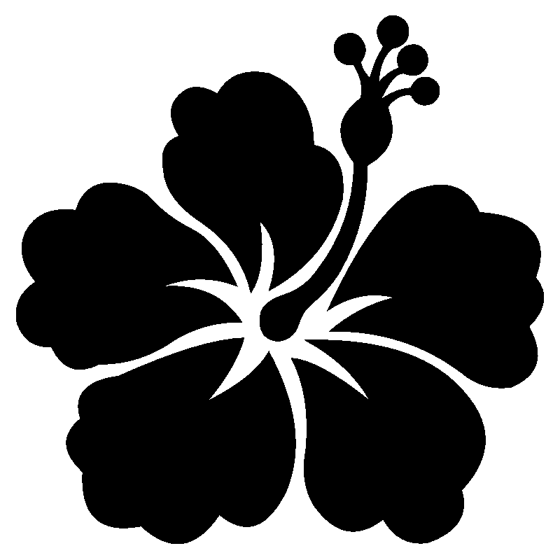hibiscus 11