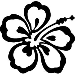 hibiscus 12