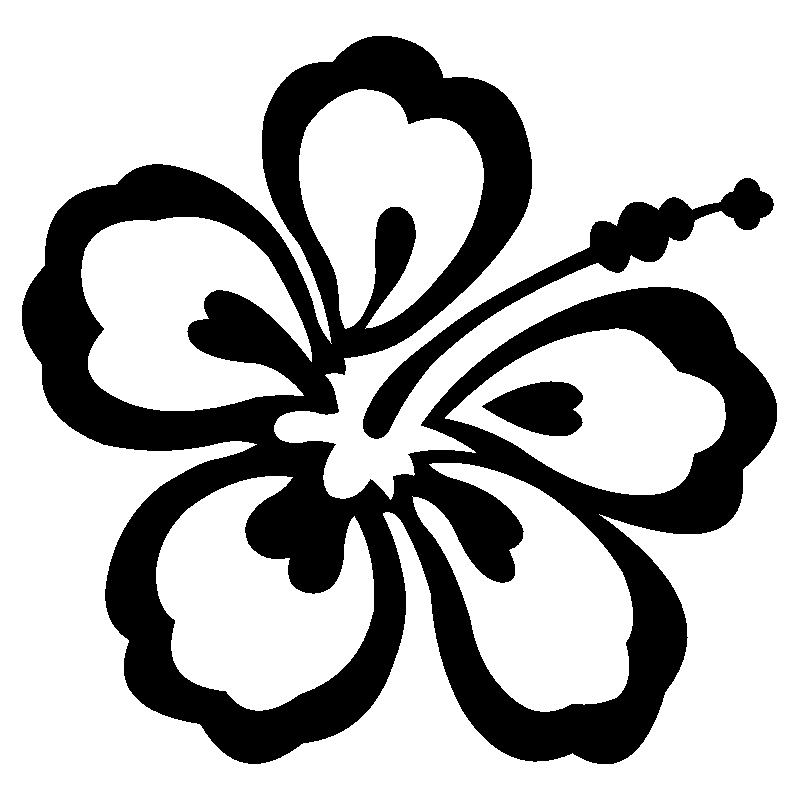 hibiscus 12