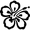 hibiscus 12